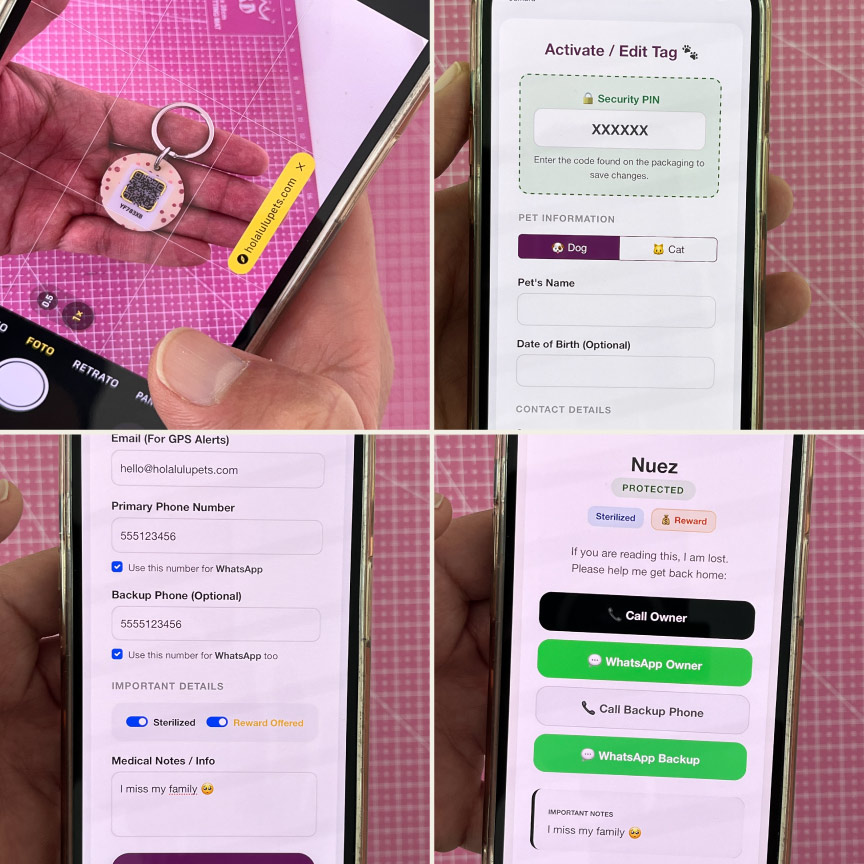 How to activate your Hola Lulu Pets QR tag — step by step on smartphone